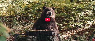 YouTube video "Kraftclub: Wie ich"